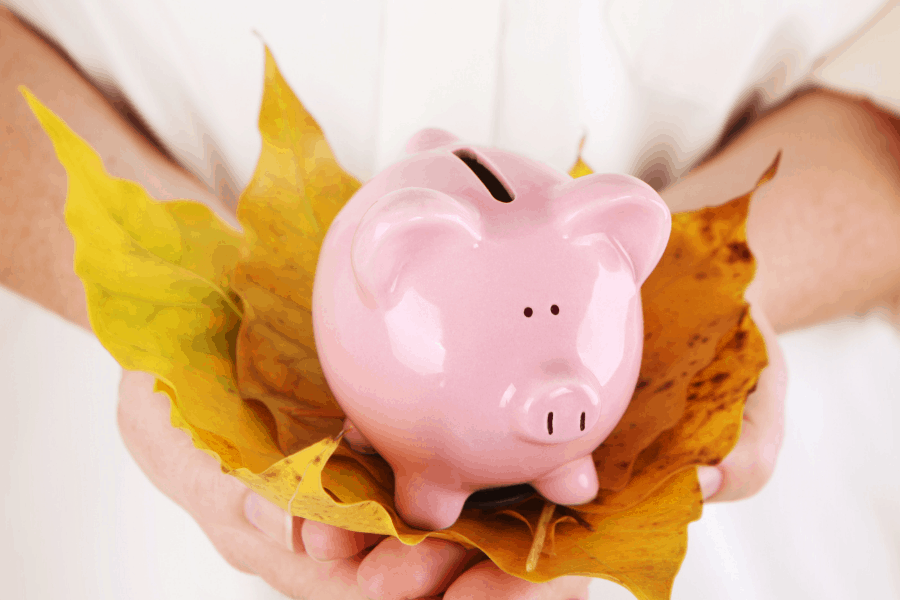 piggy bank with autumn leaves