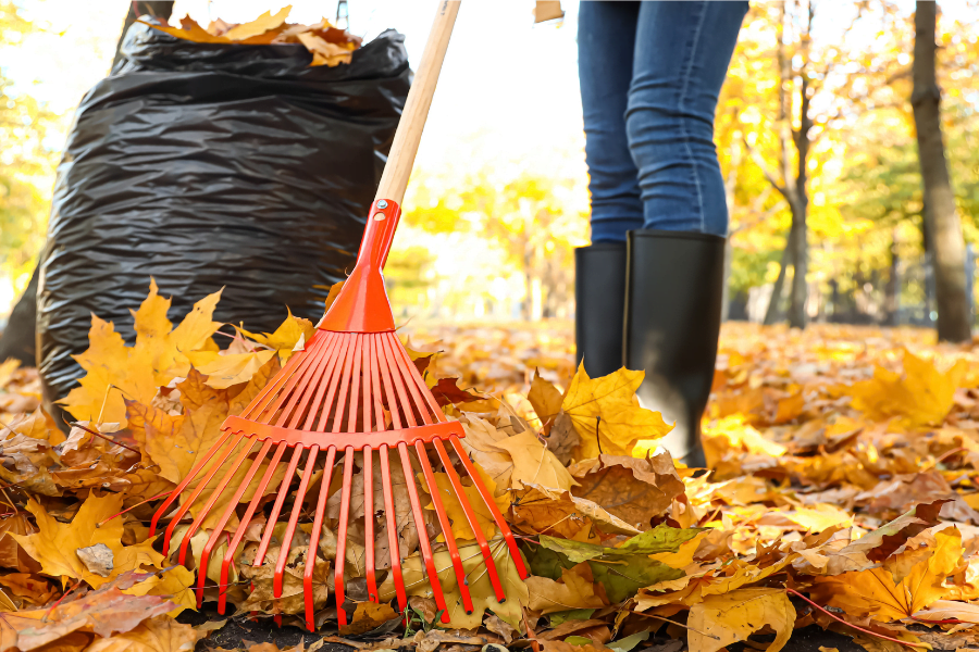 fall cleaning checklist